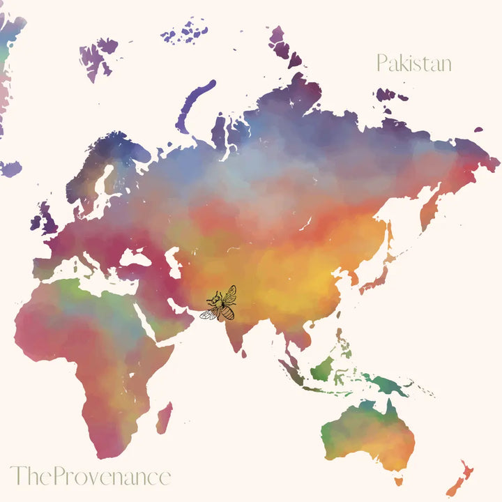 carte montrant le pakistan